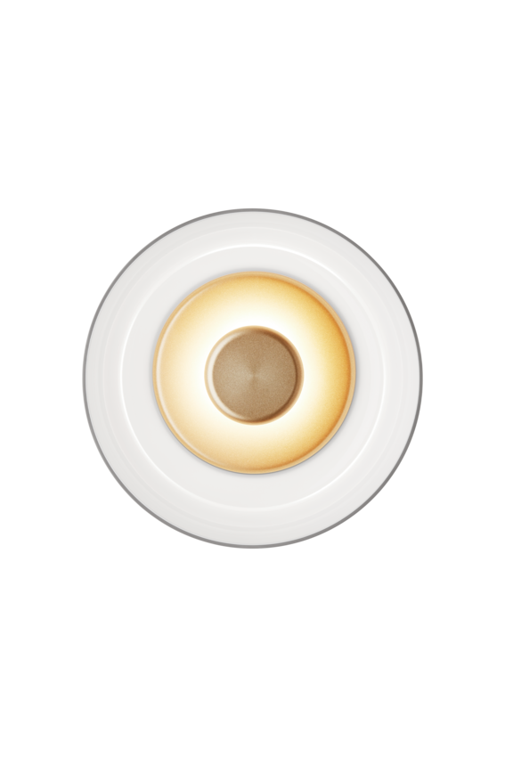 Aplica / Plafoniera Blossi - Nordic Gold / Opal White