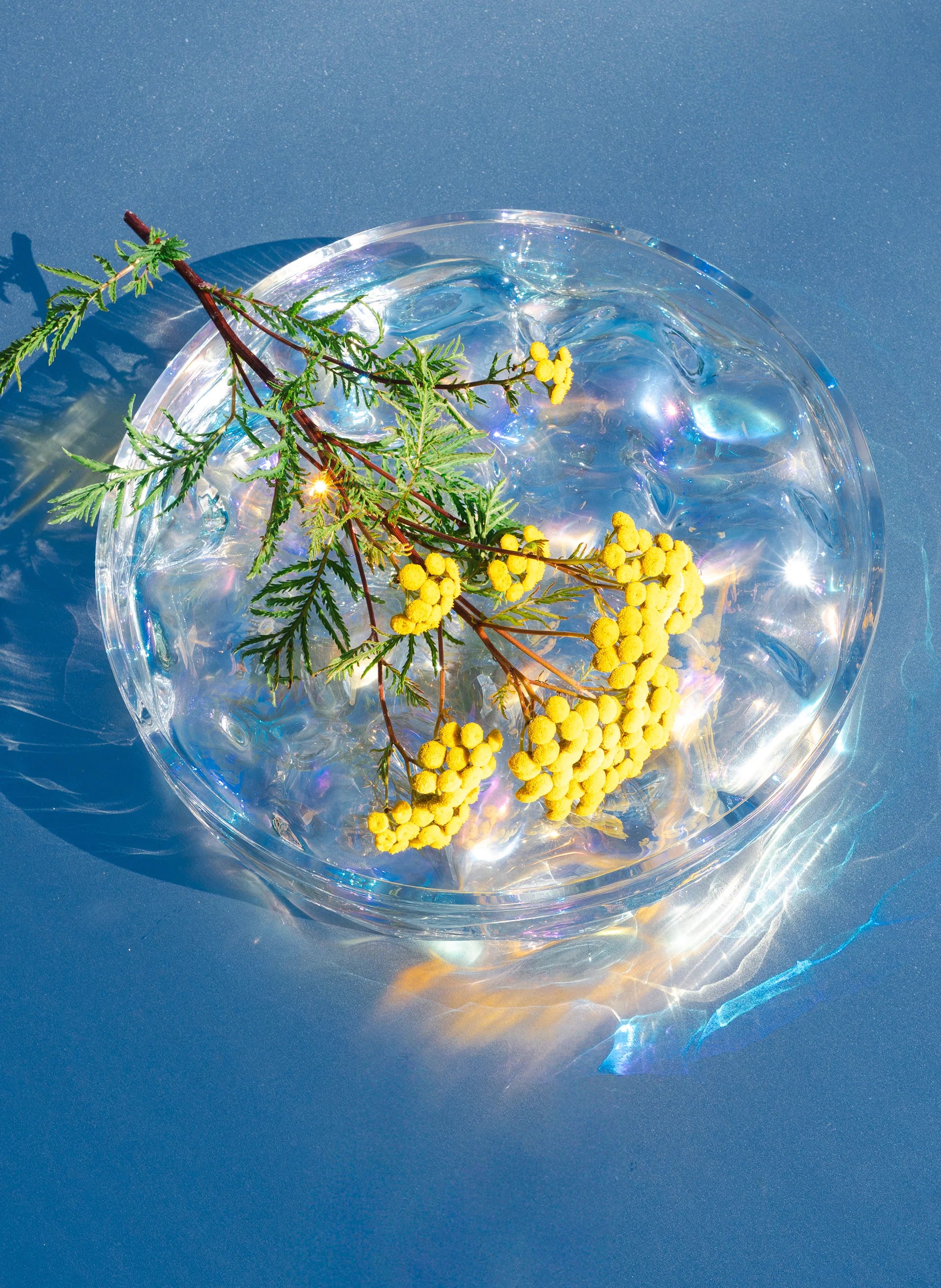 Blister Bowl - Iridescent