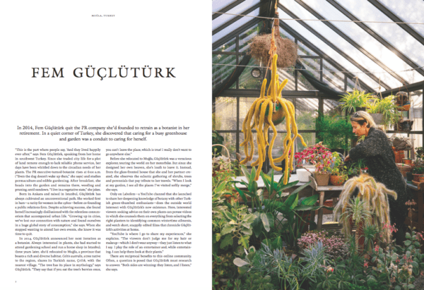 Kinfolk Garden