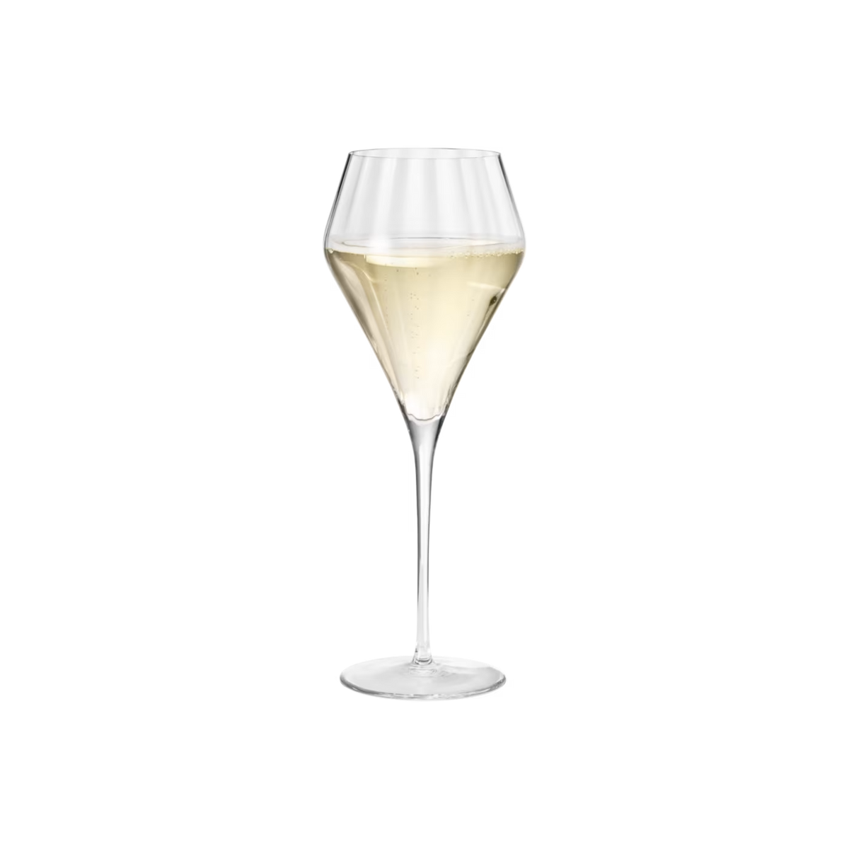 Bernadotte Tulip Champagne Glass, 6 pieces