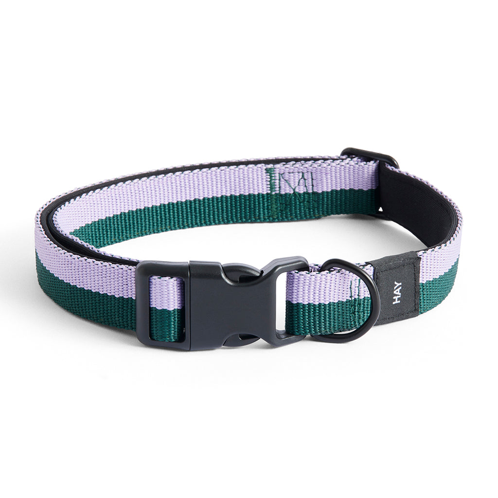 Zgarda HAY Dogs Flat - Lavanda / Verde