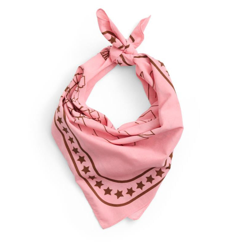 HAY Dogs Scarf (Recycled) - Pink