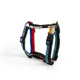 HAY Dogs Harness - Medium - Multi colour