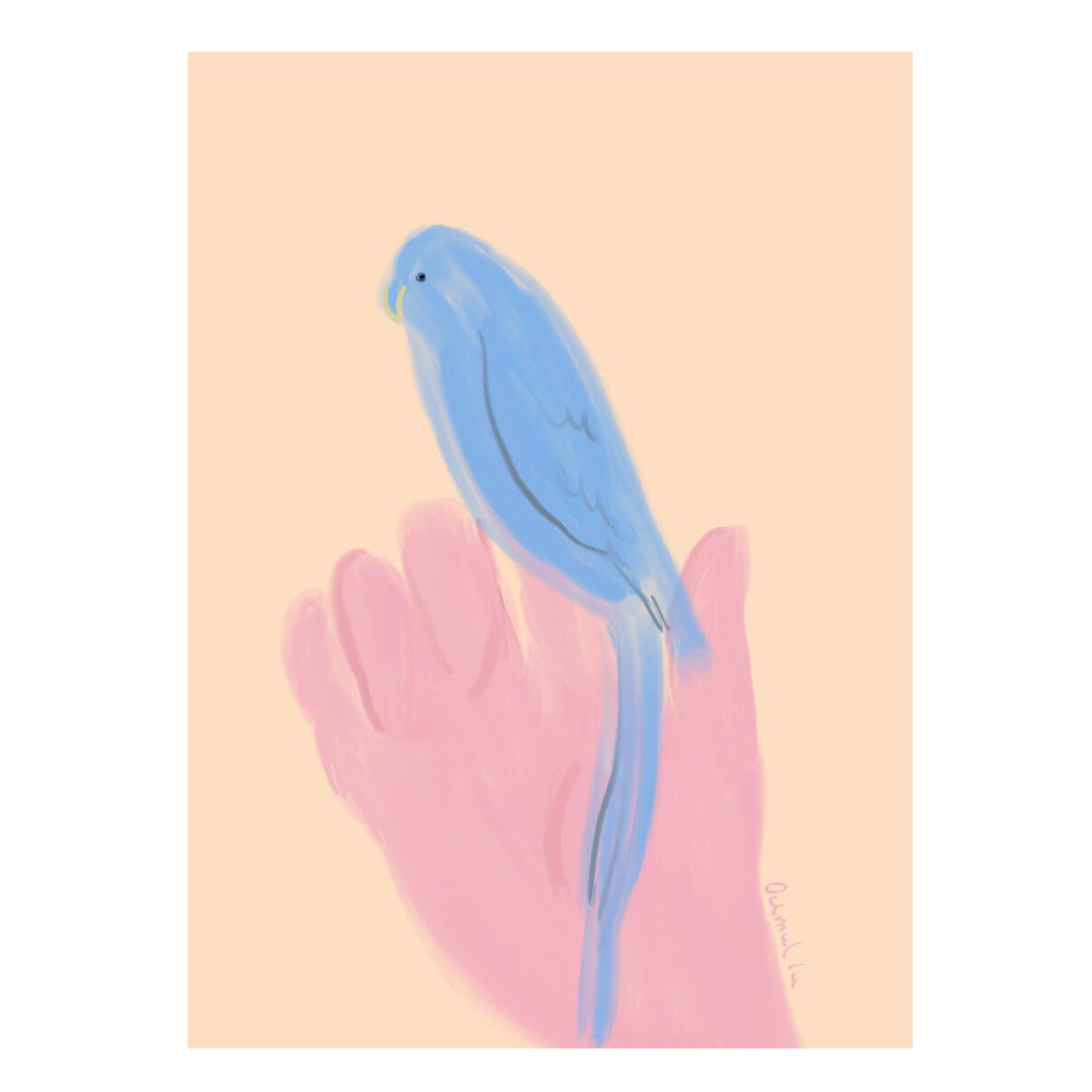 Oamul, Parrot in Hand
