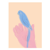 Oamul, Parrot in Hand