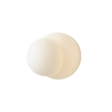 Aplica Fall 11 - Opal