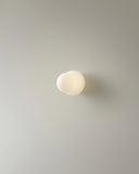 Aplica Fall 11 - Opal