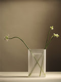 Ridge Vase - H35 - White Frosted Glass