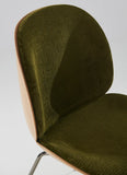 Beetle Dining Chair 3D Veneer - Front Upholstered