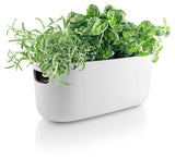 Self watering herb organiser - White