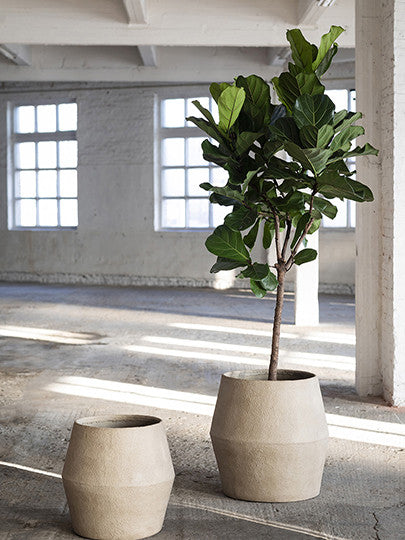 Planter Earth L Brown
